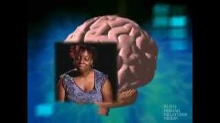 Understand Addiction and the Brain [upl. by Eatnod]