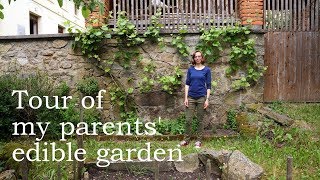 Tour of my parents edible garden [upl. by Luo]