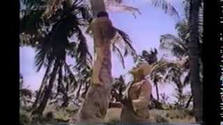 quotThe Cayquot 1974  FULL TV Movie HQ [upl. by Arved411]