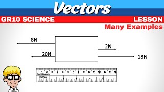 Vectors Grade 10 Science [upl. by Ybbor727]