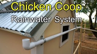 Chicken Coop Rainwater Harvesting System  How to [upl. by Starlin82]