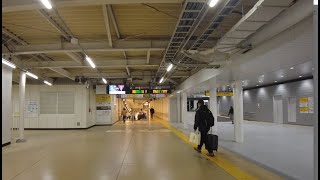 武蔵小杉駅 駅構内の様子 2024年1月 [upl. by Hetti9]