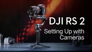 DJI RS 2  How to Connect and Setup DJI RS 2 to Cameras [upl. by Ettener]