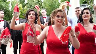 Albanian Wedding New York  Halil amp Florentina Part 1 [upl. by Anela]