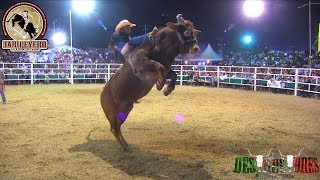 ¡¡20 DESTRUCTORES EN IGUALA GUERRERO 24 FEBRERO 2019 [upl. by Herman]