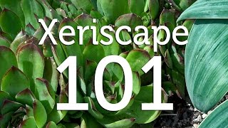 What is Xeriscape Gardening [upl. by Tillie]