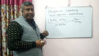 Advantages of Phosphorus Solubilising Biofertilizers [upl. by Irolav]