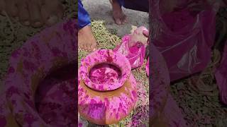 holi apical full mosti সাথে হোলি স্পেশাল সিদ্দি 😋🙋🎉🎊 holispacial holi ailastbar [upl. by Minardi762]