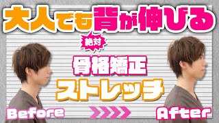 【絶対伸びる】大人でも身長が伸ばせる有料級の骨格矯正ストレッチ [upl. by Grose]