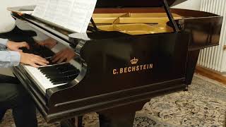 Bechstein IV vs Bösendorfer 200 Liebestraum Liszt [upl. by Jelle]