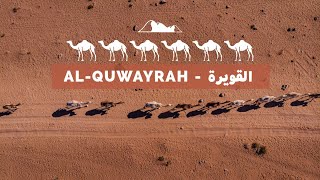 A flock of camels strolling the desert of Al Quwayrah  Jordan [upl. by Therron80]