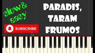 🎹 Paradis tărâm frumos  Fratii Strugariu tutorial pian  nivel începător [upl. by Nauj]