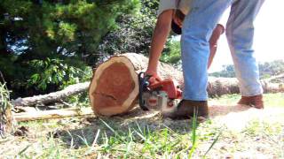 Stihl  029 cutting a log [upl. by Beasley]