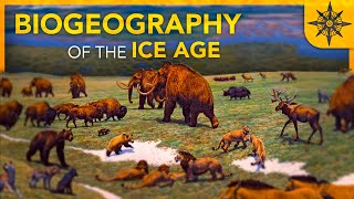 The BIOGEOGRAPHY of the Ice Age [upl. by Alhsa253]