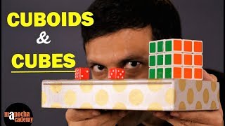 How To Solve 3 by 3 Rubiks Cube Learn In Hindi  The Basics  Best way to learn [upl. by Nivled]