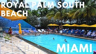 Royal Palm South Beach Miami a Tribute Portfolio Resort 🇺🇸 [upl. by Zerep]