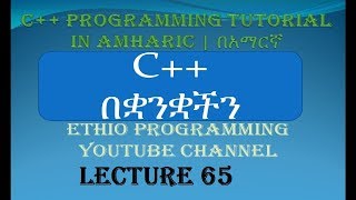 Lecture 65 C Programming Tutorial pointer part 5 in Amharic  በአማርኛ [upl. by Aihpos]