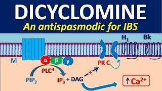 Dicyclomine as antispasmodic [upl. by Inobe]