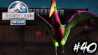 CUARTO HIBRIDO PELECANIPTERYX  Jurassic World The Game 40  PlayiNkZ [upl. by Etem]