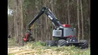 Harvester TimberPro TB 630 [upl. by Leverick735]