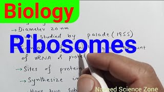 Ribosomes in Urdu  class11 biology ribosomes biology class11 [upl. by Wheaton]