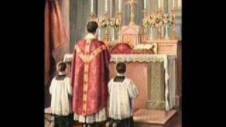 How to serve the Latin Mass  Prayers at the Foot of the Altar  PRIEST AND SERVER [upl. by Nahgrom]