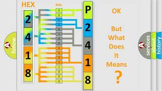 DTC Ford P2418 Short Explanation [upl. by Isiahi]