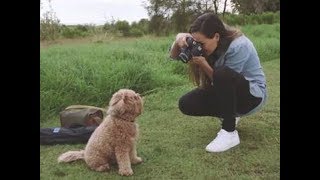 Canon EOS 800D  Learn How to Take Better Photos With the EOS 800D Guided Display [upl. by Pantia288]