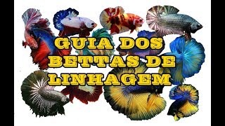 Guia dos Bettas de Linhagem LinhasTipos de CaudaAbertura [upl. by Mera225]