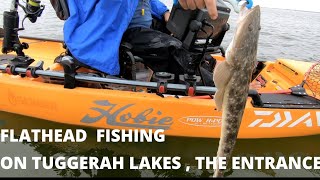 Flathead fishing on Tuggerah Lakes  The Entrance [upl. by Flossy]