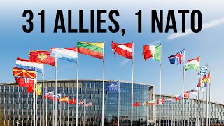 31 Allies 1 NATO [upl. by Adnilak]