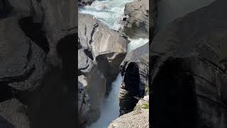 Stunning Mistaya Canyon of Alberta Canada canada summer2024 travel [upl. by Mafala]