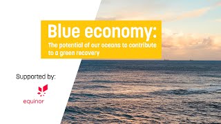 Blue economy the potential of our oceans to contribute to a green recovery [upl. by Assyl546]