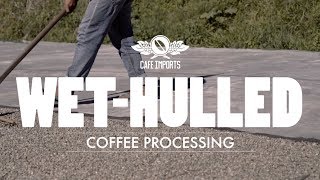 WetHulled Coffee Processing [upl. by Llemmart]