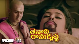 Tenali Ramakrishna Episode No 192  తెనాలి రామకృష్ణ  Season 1  Contiloe Studios Telugu [upl. by Akkire]