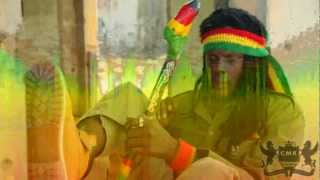 Reggae Mix Roots Roots By Iron Heart Sound amp Chessman Records [upl. by Wystand]