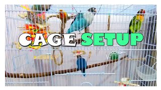 How to Set Up Your Parrots Cage  Lovebirds Cage Setup [upl. by Amoeji626]