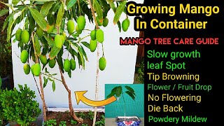 How to Grow Mango Plant and take care  Mango Tree All Deseases and Best Treatments with updates [upl. by Sascha]