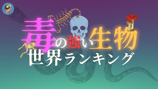 最強の「毒」を持つ生物【世界ランキング発表】 [upl. by Asiar846]