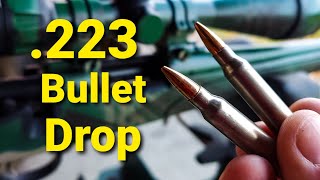 223 Bullet Drop  Demonstrated and Explained [upl. by Donica20]