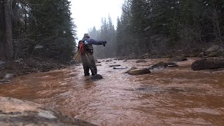 FlyFishing Daily Snow Uintas [upl. by Adierf]