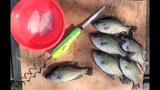 How To The QUICKEST Way To Fillet CRAPPIE [upl. by Blaze]