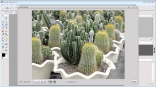 What can I do with the Browser feature in ArcSoft PhotoStudio [upl. by Egdamlat]