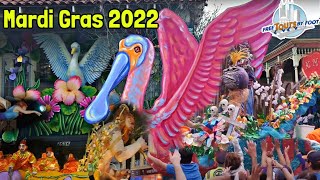 Mardi Gras New Orleans  How to Do Carnival in New Orleans [upl. by Dnesnwot]