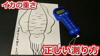 測り方でサイズが変わっちゃう！？便利なデジタルスケールと、正しい計測法をご紹介！！ [upl. by Ebenezer]