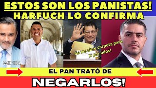 ESTOS SON LOS PANISTAS N4RC05 HARFUCH CONFIRMA IRÁ POR ELLOS [upl. by Lotz371]