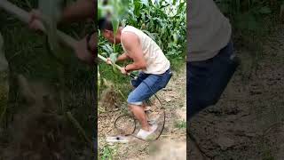 Electric spadework in field funny video 🤣🤣 funny viralvideo short shorts viralshort [upl. by Erinn174]