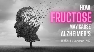 Alzheimers  Diabetes of the Brain Caused by Fructose [upl. by Lebatsirhc]