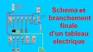 schéma branchement câblage tableau electrique maison [upl. by Davies]