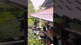 Samurai Residence Nomurake武家屋敷跡Kanazawa SamuraiResidenceNomuraKeKanazawaHistoryNomuraSamuraiHouse [upl. by Kho]